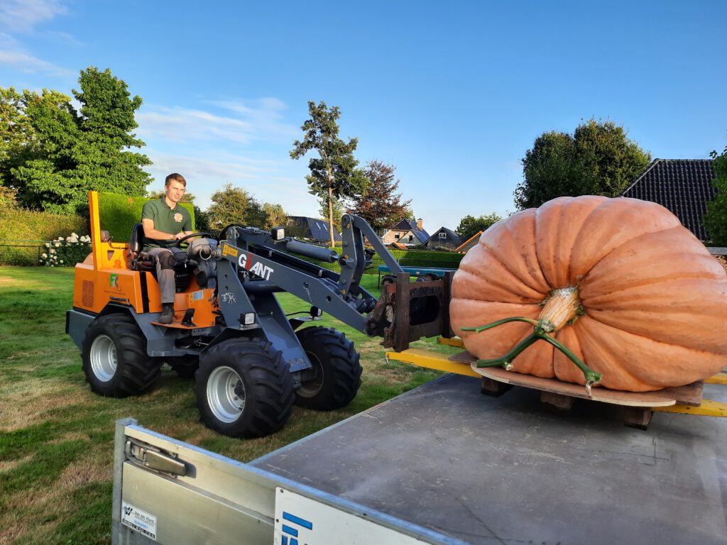 Charging giant pumpkin