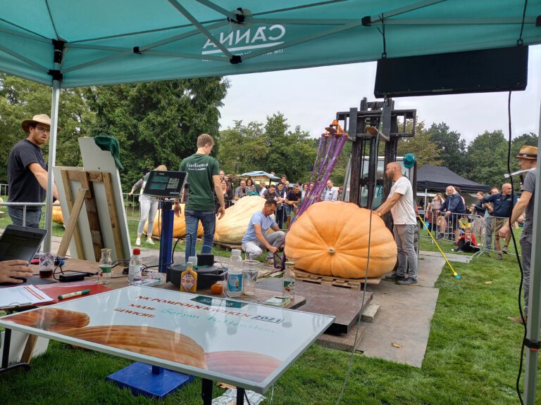 Weigh off giant pumpkin weging utrecht canna reuzenpompoen