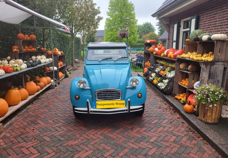 Kleurrijke kiekjes tussen de pompoenen 2CV