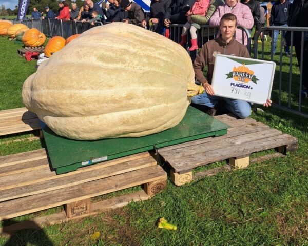 Giant Pumpkin record winning reuzenpompoen